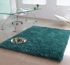 Teal area rug