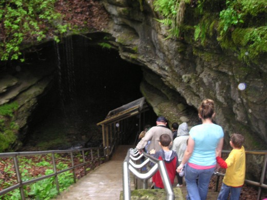  Visitors descend the Houchin's entrance, named after a pair of brothers believed to have discovered it in 1797. Only experts can't agree on which one.  Courtesy http://upload.wikimedia.org/wikipedia/commons/9/95/Mammoth_cave.JPG