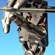 desp12 profile image