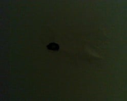 A Hole in My Ceiling