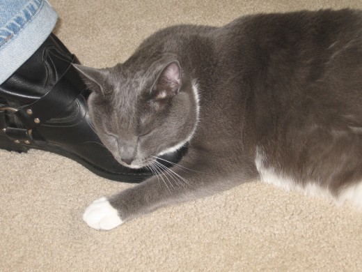 Lenny fetishes leather boots