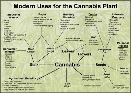 Modern use of hemp and cannibis