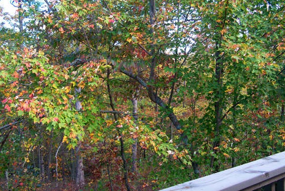 Romantic Cabin Rentals For Getaway Weekend In Blue Ridge Mountains