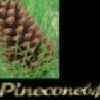 pinecone64 profile image