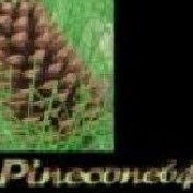 pinecone64 profile image