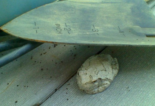 a white frog visiting with us on our back deck, hiding among the gardening tools