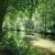 The river is beautiful The river is beautiful