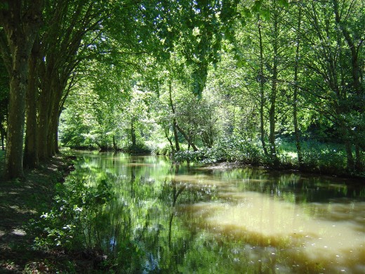 The river is beautiful