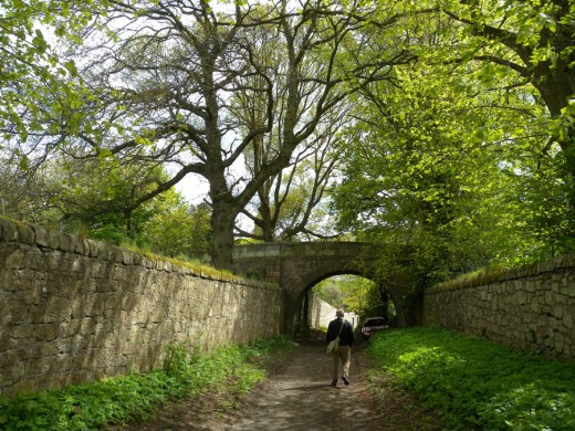 Scotland is so amazing with the diversity of land and water. Found this tunnel fascinating and the bridge led from one pasture to another.