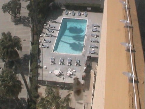 pool right next to the beach for those who do not like swimming in the ocean