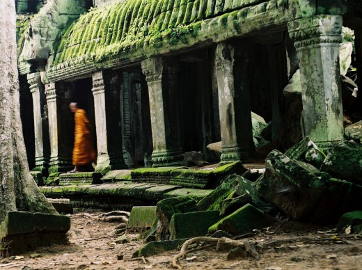 Monk, Ta Prohm , Angkor, Cambodia