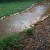 Puddles in my back yard. Puddles in my back yard.