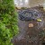 A flower bed with lots of water. A flower bed with lots of water.