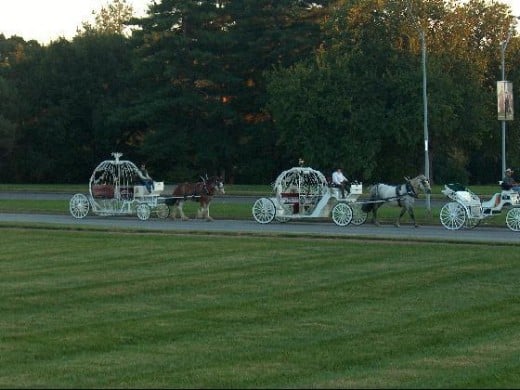 Horse and Carriages at the Plaza