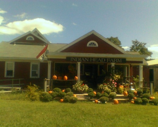 Front of Indian Head Farm