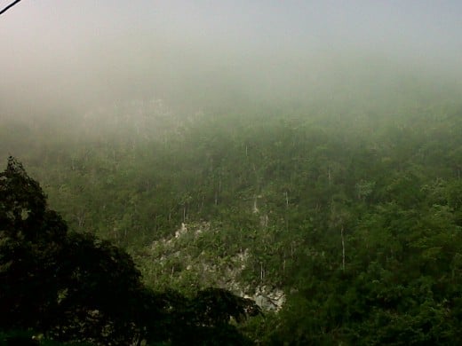 Mist over the Bog Walk Gorge. Photo by Glendon Caballero Jnr.