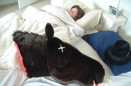 The horse head shaped pillow