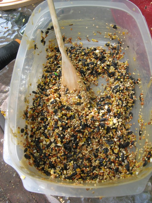 Bird seed and peanut butter mix