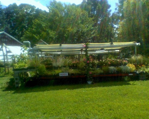 Flower carts outside the farm stand