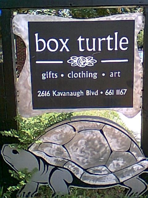 Box Turtle in the Hillcrest neighborhood of Little Rock let me practice on them. 