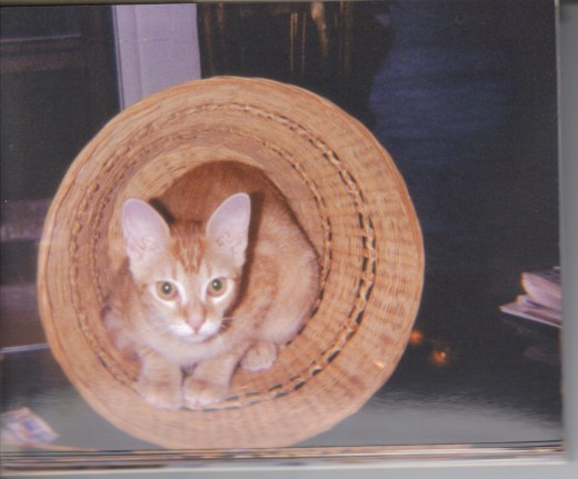 this was a small round basket that he learned to make roll while he played inside of it
