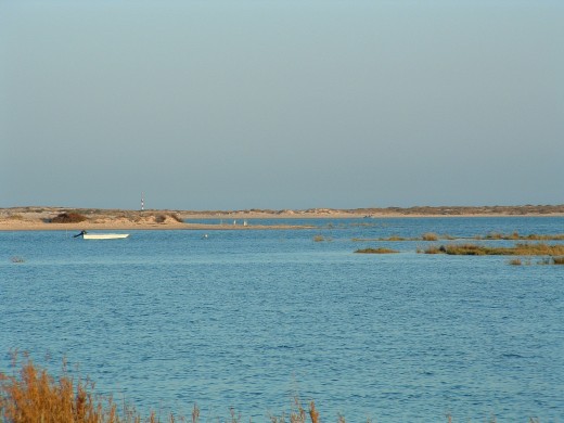 Ria Formosa near Olho
