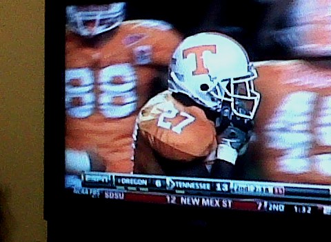 Knoxville experienced some terrible storms today, so my happy tail stayed home and watched the game in the comforts of my home.