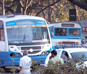 Local BMTC buses