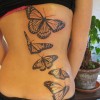 butterfly Tattoo profile image