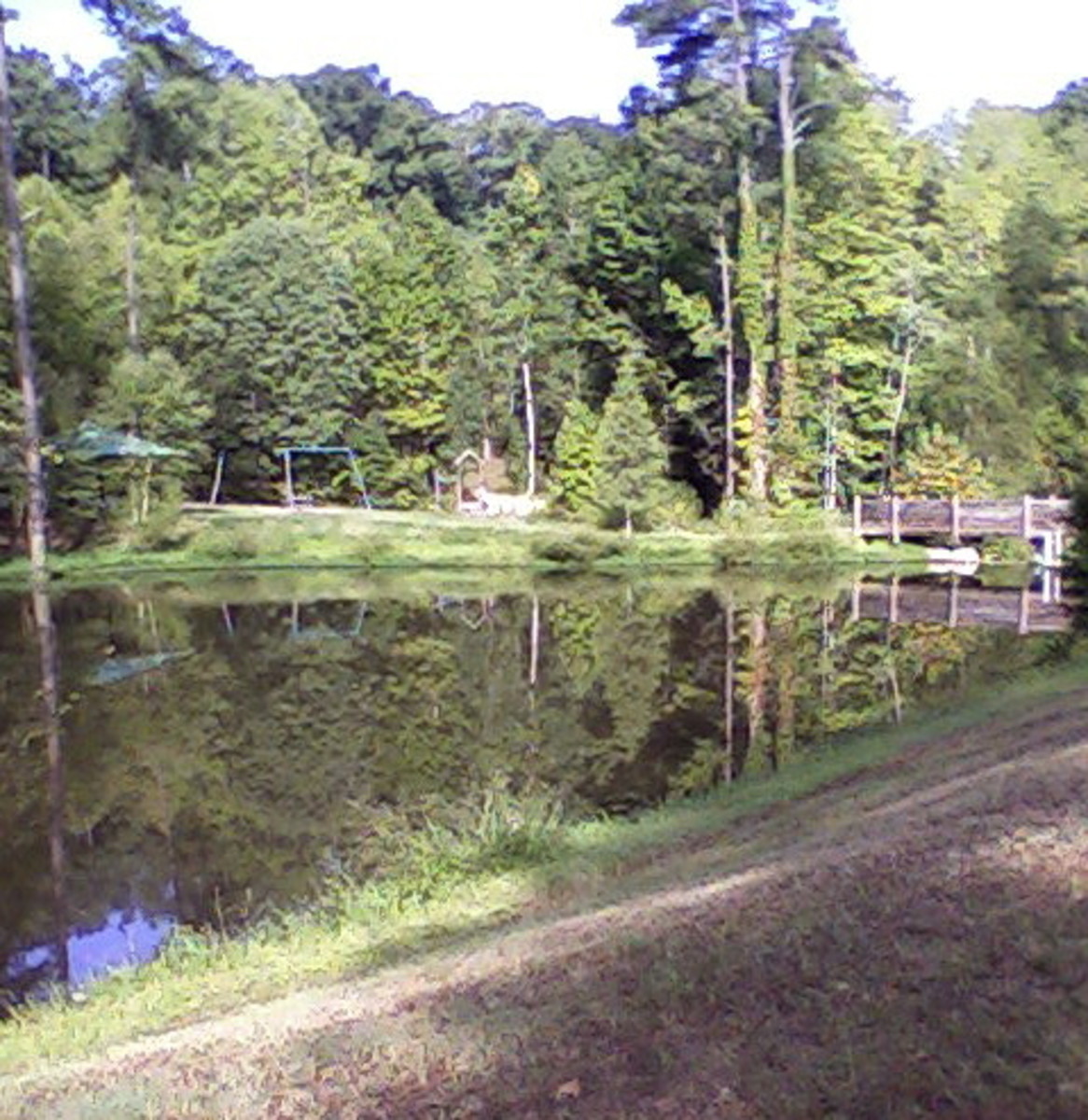 Ronald reagan Park:  Lake