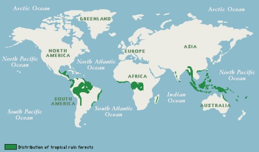 World's Rainforest Map (Gif photo courtesy of http://keepbanderabeautiful.org/)