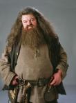 Hagrid Masks