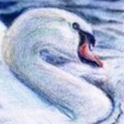 Sumariel profile image