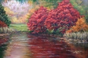Autumns Reflection