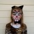 Halloween cat makeup idea.