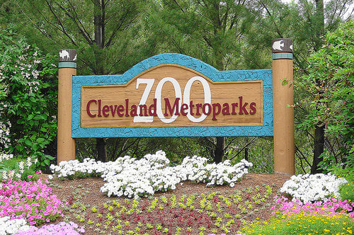 Spend a Day at the Cleveland Metroparks Zoo