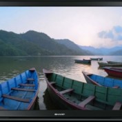 Aquos Sharp profile image