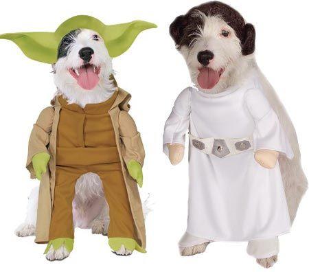 dog halloween costumes