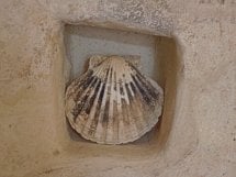 The Shell symbol of Saint Jacques de Santiago de Compostelle