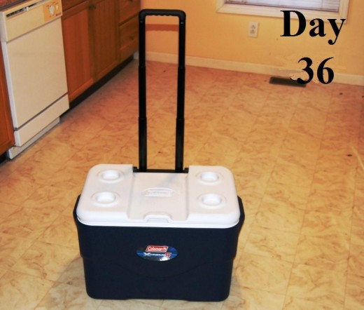 We finally pulled the trigger on a new cooler to go tailgating with.  Now we will no longer be the couple that has to put their drinks in other people's cooler during the party.  One step closer to classiness! lol