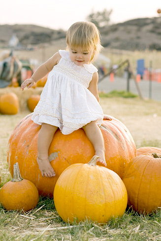 From the biggest to the smallest, Peltzer Pumpkin Farms meets all your pumpkin needs.