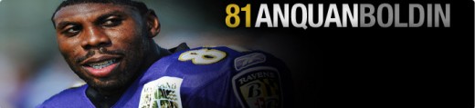 Baltimore Ravens wide receiver #81 Anquan Boldin