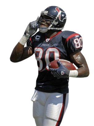Houston Texan Wide Receiver Andre Johnson