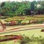 Landscaped grounds of the Nani Mau Gardens Landscaped grounds of the Nani Mau Gardens