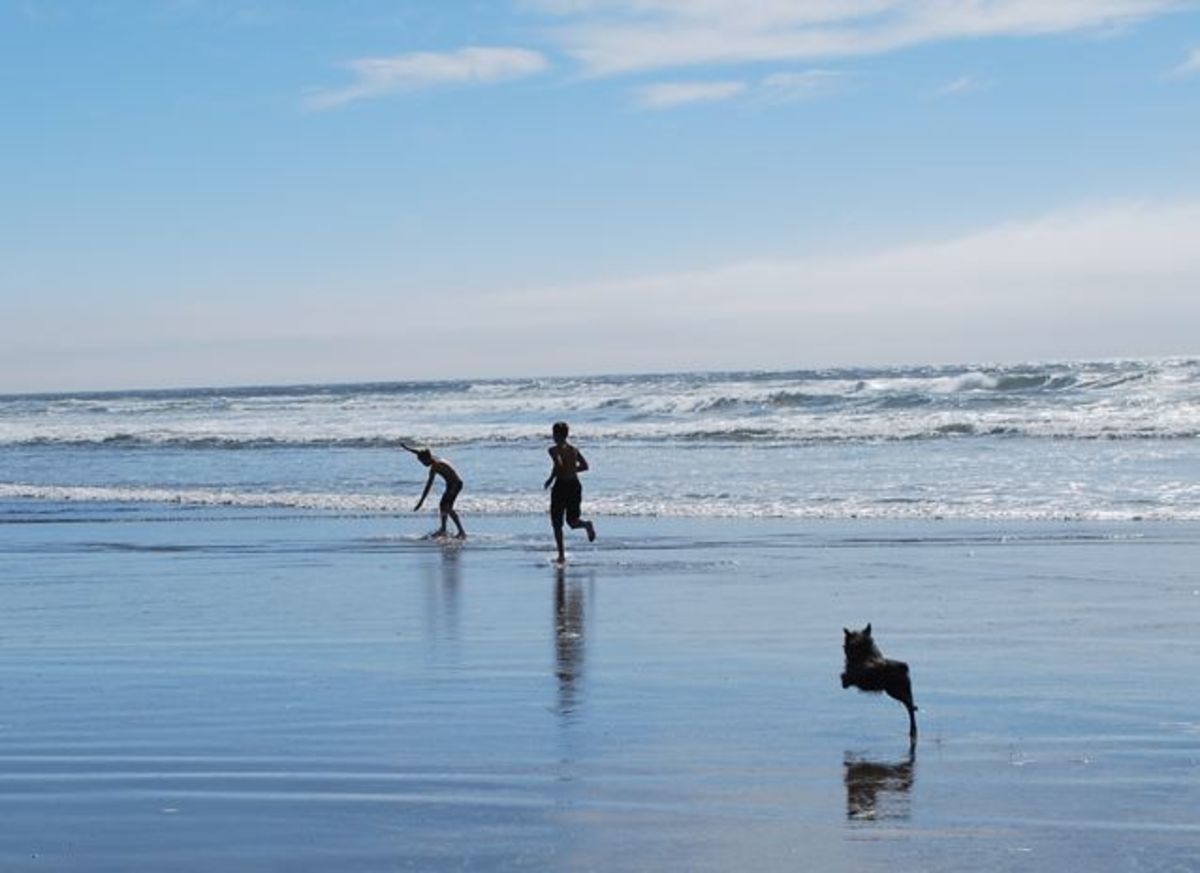 Visit the Oregon Coast: a Pet-Friendly Vacation