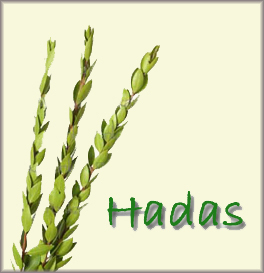 three myrtle branches (hadassim). 