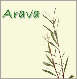 two willow branches (aravot) 