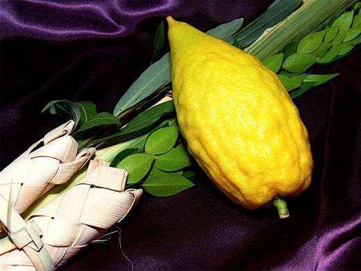 The images are from http://www.4minim.com/, the best place to order your Four Species
