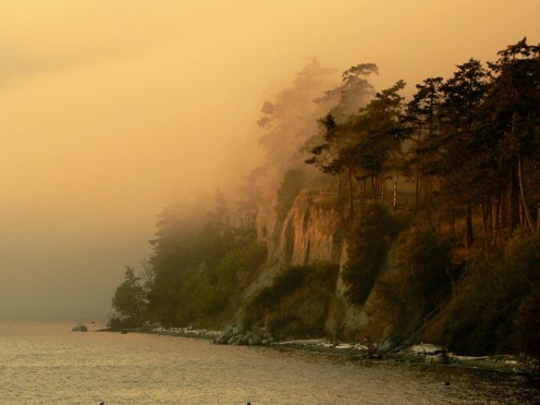 Cliff fog off San Juan Island