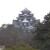 Crow Castle looming over the gardens (which used to be part of the castle grounds, complete with docks and servant quarters).